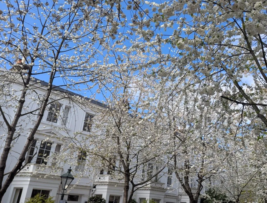 Spring 2025: Market Update Featured Image